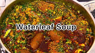 HOW TO MAKE DELICIOUS VEGETABLE SOUP WITH WATERLEAF AND BITTERLEAF  WATERLEAF SOUP [upl. by Llerrej]