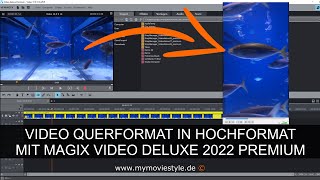 VIDEO QUERFORMAT IN HOCHFORMAT MIT MAGIX VIDEO DELUXE 2022 PREMIUM [upl. by Wellington]