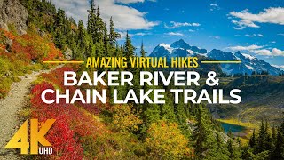 4K Virtual Hike Near River through the Forest  Baker River Trail amp Chain Lake Trail [upl. by Euqram]