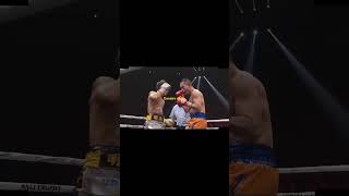 Naoya Inoue Vs Nonito Donaire Highlights [upl. by Etennaej]