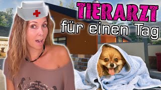 Notfall KLINIK im Tierheim 👨‍⚕️ Ich helfe dem Tierarzt 💉 Animal Shelter Simulator deutsch 🏠 Folge 27 [upl. by Fitzger]