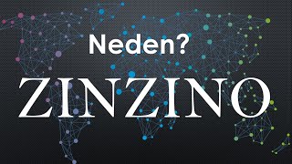 NEDEN ZINZINO BÜYÜK FIRSAT MUTLAKA İZLE zinzino girişimcilik mlm networkmarketing [upl. by Tammie881]