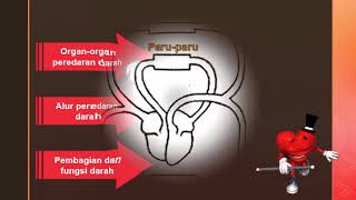 Sistem Peredaran Darah Manusia  ringkasan materi kelas 5 SD IT Tunas Cendekia Batam [upl. by Dermott656]