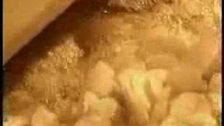 How They Make potato Chips [upl. by Irolam]