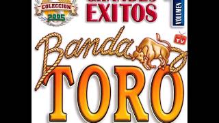 Sabor Amargo  Banda Toro Versiones Originales Vol 1 [upl. by Luciano473]