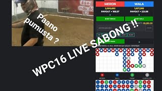 Paano mag agent sa online sabong wpc15 wpit18 wpc16 sl618 [upl. by Milzie411]