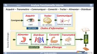 01 Activité de découverte Analyse Fonctionnelle Interne [upl. by Antin]