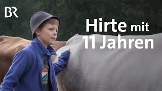 Ferien auf Allgäuer Alpe Kleinhirte mit 11 Jahren  Zwischen Spessart und Karwendel  BR [upl. by Niwrad]