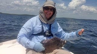 Tripletail on a Fly with Capt Les Hill [upl. by Esertap]