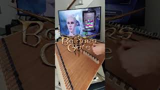 Baldurs Gate 3  Down By The River  Hammered Dulcimer Cover [upl. by Uund609]