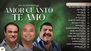 Salsa Romántica Amor Cuánto Te Amo – Salsa Power [upl. by Westleigh]