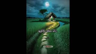 ඔබ ගැන සිහිවෙනවා💓💓 Araliya Landata whatsappstatus geemathbeats viral love sad remix lyrics [upl. by Matthia]