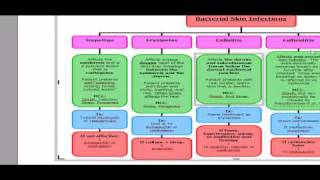 USMLE ALGORITHMS Bacterial Skin Infections [upl. by Cy]