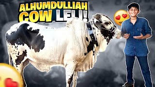 FINALLY COW MILGYI🐄😍  ALHUMDULILLAH SODA HOGYA🥹Mandi 2022 Vlog  Vampire YT [upl. by Dnama347]