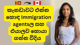 කැනඩා එන්න හොඳ හොර බොරැ නැති Immigration agentsලව හොයා ගන්න විදියක්‍ RCICs [upl. by Nicholson395]