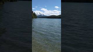 Discover the Untouched Beauty of Maligne Lake in jasper alberta malignelake jaspernationalpark [upl. by Adieno]