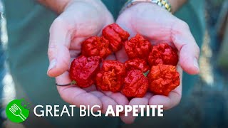 Carolina Reaper Challenge [upl. by Oak]