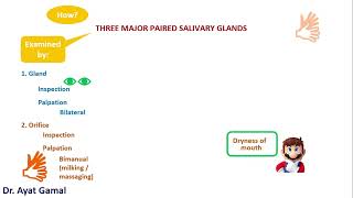 III Salivary glands examining dryness of the mouth [upl. by Leirvag]