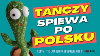 Pluszowy kaktus z ALIEXPRESS który tańczy i śpiewa po POLSKU Tylko jedno w głowie mam [upl. by Latsyek]