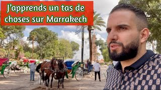 Marrakech en calèche 🇲🇦 J’en apprends beaucoup sur cette magnifique ville [upl. by Nnyluqcaj]