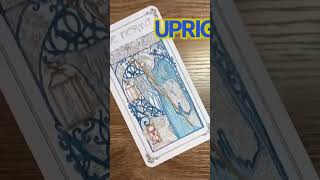 The Hermit Card  Tarot Meanings [upl. by Eibber]