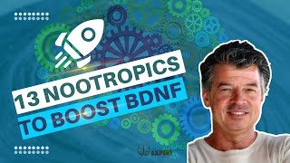 13 nootropics to boost BDNF [upl. by Nwahsel462]