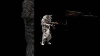 Cat reloading AK47 but it’s illegally REALISTIC animation cats memes [upl. by Eyanaj]