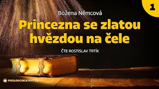 Božena Němcová Princezna se zlatou hvězdou na čele 13 [upl. by Wilton692]