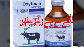 Oxytocin injection uses in UrduHindi  Janwar ka Doodh Badhane ka Tarika  Dr Ali Usman [upl. by Neddie615]