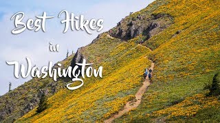 Best Hikes in Washington [upl. by Noiemad]