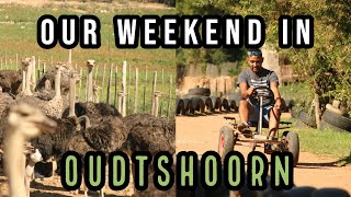 WHAT TO SEE AND DO IN OUDTSHOORN [upl. by Yraek]