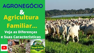 AGRONEGÓCIO amp AGRICULTURA FAMILIARVeja as Diferenças e Suas Características [upl. by Annadiane]