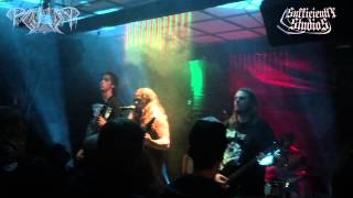 PAGANIZER  Scandinavian Warmachine  Live 2014 [upl. by Amluz]