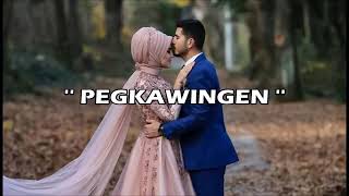 PEGKAWINGEN NYT LUMENDA  Jie lyrics video [upl. by Arjun]