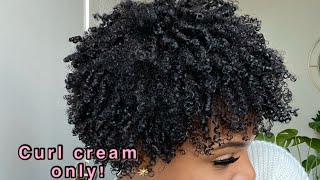 No gel Moisturized curls for  Dry Natural hair [upl. by Ahgiela822]