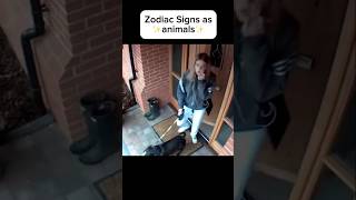 Zodiac Signs as animals 1😂 zodiac animals funny [upl. by Tarton]