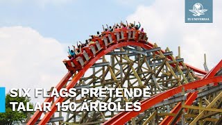 Tlalpan se opone a tala de árboles que implica nueva atracción en Six Flags [upl. by Ydaf902]