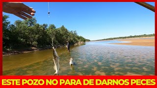 La CARNADA MAS EFICAZ para pescar BAGRES en estos POZOS del RIO BERMEJO [upl. by Amanda731]