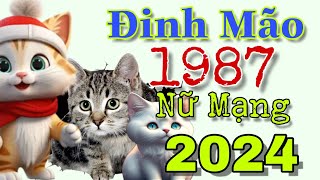 Đinh Mão 1987 nữ mạng Năm 2024 sự nghiệp có phần thay đổi mạnh [upl. by Ahsennek]