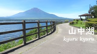 山中湖から見る富士山 ｜ 長池親水公園 [upl. by Willamina]