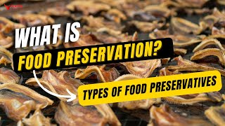 Food Preservatives – Types of Food Preservatives – Food Science amp Technology [upl. by Aciruam446]