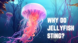 Decoding Jellyfish The Science Behind Their Sting [upl. by Toll]