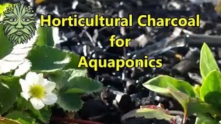 Horticultural Charcoal for Aquaponics [upl. by Lesser]