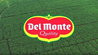 Fresh Del Monte Produce Inc Corporate Video [upl. by Ninnette]