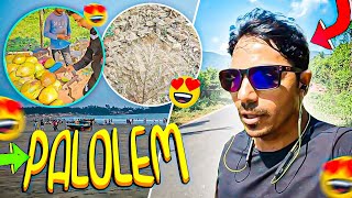 Vlogging in Palolem southgoa [upl. by Shanon]