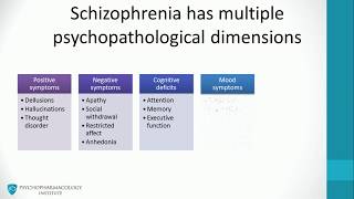 1 Schizophrenia psychopathology [upl. by Huan]