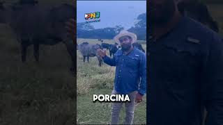 Video de PNJ 2025 Wilfredo Chireno González [upl. by Ahsiekahs]