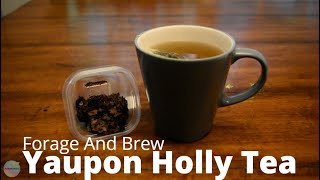 Yaupon Holly Tea  How To Forage And Brew [upl. by Antoine]