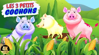 Les 3 petit cochons en français Les 3 petits cochonsLes trois petit cochon histoireLes 3 cochons [upl. by Annaira]