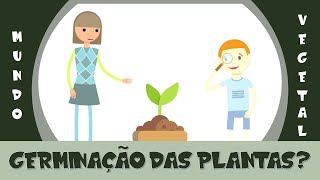 3 Mundo Vegetal  Germinação das Plantas  Como uma semente se torna uma planta [upl. by Aikemot]